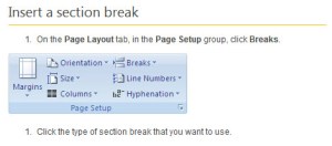 directions for section break insertion